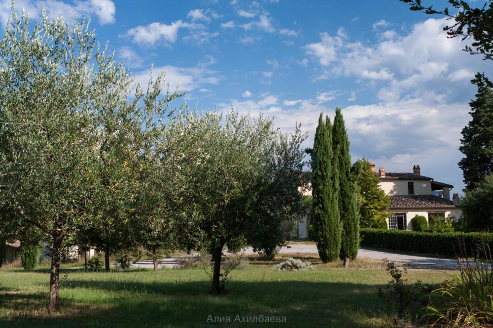 Terra Della Lanterna Bed & Breakfast Cetona Luaran gambar